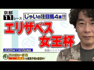 【競馬】エリザベス女王杯でのじゃいの予想【勝ち馬予想】