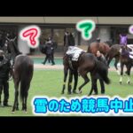 競馬中止になっちゃったお馬ちゃん達