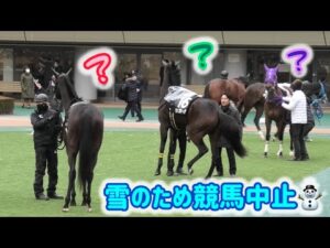 競馬中止になっちゃったお馬ちゃん達