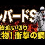 【レパードステークス2026競馬予想】最終水曜追い切り結論｜有力馬・穴馬診断｜最終追い切りで評価急変！怪物級の動きを見せた1頭…軍師AIが本命・穴馬を最終決断！衝撃の調教から見えた絶対に買いたい注目馬