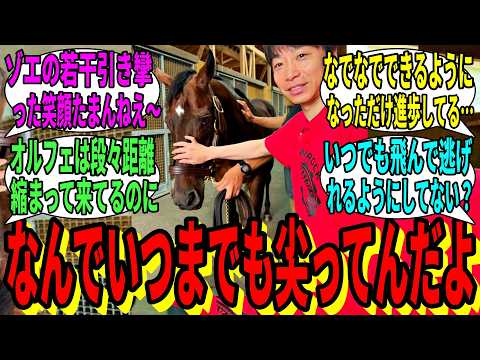 【競馬の反応集】「池添、今年もあいつらに会いに行く」に対する視聴者の反応集