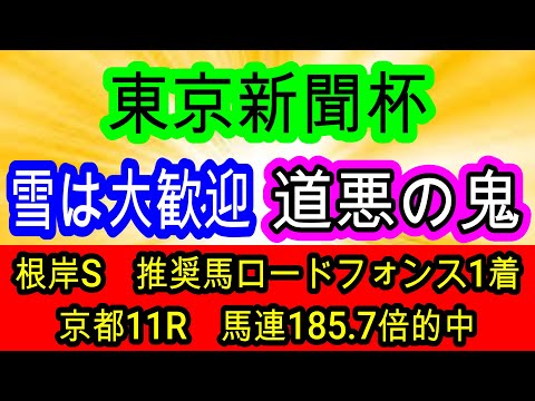 【競馬予想】東京新聞杯2026　想定12番人気激熱！　道悪で大波乱のなるならこの馬1択！！　WIN5キャリーオーバー中