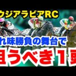 【サウジアラビアRC】正直抜けてる!少頭数で狙うべき1頭を元騎手が公開!