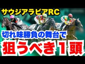 【サウジアラビアRC】正直抜けてる！少頭数で狙うべき１頭を元騎手が公開！