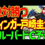 【ブルーバードC予想】カタリテは絶対に来ない！競馬ゆっくりに未勝利馬を売りつけるノルマンと岡田牧雄なんて買えるか！絶対に勝て！戸崎圭太とフィンガー！2026年ブルーバードカップ予想動画【競馬ゆっくり】