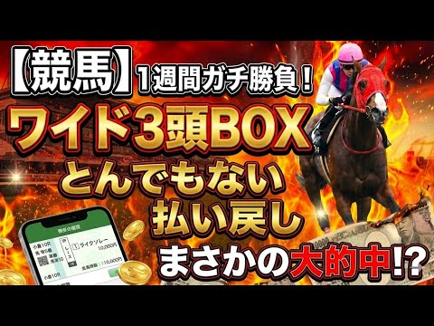 【競馬】1週間ワイド3頭ボックスだけで戦ったら、とんでもない払い戻しが…