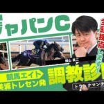 【競馬エイト調教診断】ジャパンC（横山英二）