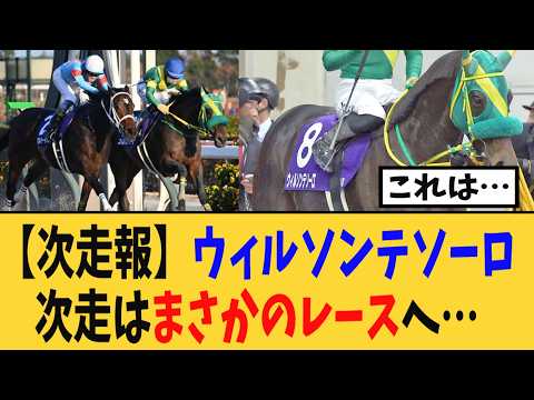 【次走報】ウィルソンテソーロ次走はまさかのレースヘ・・・【競馬反応集】