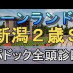 【JRAライブ】競馬記者が全レースのパドックを解説【キーンランドC 新潟2歳S 2026】