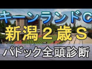 【JRAライブ】競馬記者が全レースのパドックを解説【キーンランドC 新潟2歳S 2026】