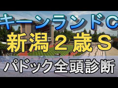 【JRAライブ】競馬記者が全レースのパドックを解説【キーンランドC 新潟2歳S 2026】