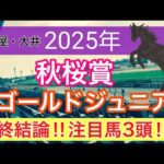 【秋桜賞・ゴールドジュニア2025】蓮の地方競馬予想(最終結論)