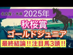 【秋桜賞・ゴールドジュニア2025】蓮の地方競馬予想(最終結論)