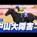 【レース映像】中山10R 中山大障害（J・GI）｜エコロデュエル（草野太郎）｜ウイニング競馬