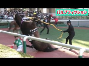 パドックでこけて角田大和騎手の上に乗っかってしまうパルプフィクション
