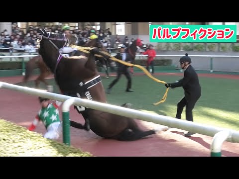 パドックでこけて角田大和騎手の上に乗っかってしまうパルプフィクション