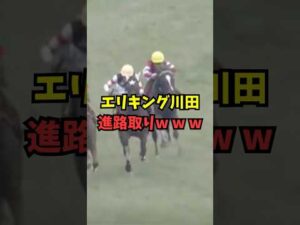 【京都記念】エリキング川田の進路取りw w w