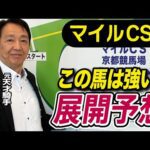 【マイルCS2025】田原成貴が展開予想　自信の本命だ《東スポ競馬》