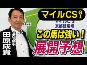 【マイルCS2025】田原成貴が展開予想 自信の本命だ《東スポ競馬》