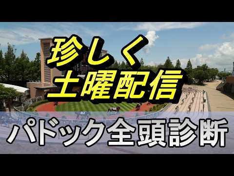 【JRAライブ】競馬記者が全レースのパドックを解説【新潟 中京 札幌】