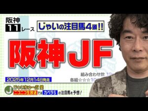 【競馬】阪神JFでのじゃいの予想【勝ち馬予想】