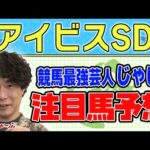 【競馬】アイビスSDでのじゃいの予想【勝ち馬予想】