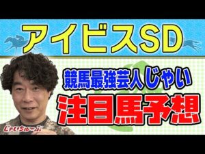 【競馬】アイビスSDでのじゃいの予想【勝ち馬予想】
