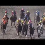 12/23【スローリプレイ】浦和競馬で起きた珍しい判定