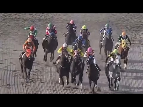 12/23【スローリプレイ】浦和競馬で起きた珍しい判定