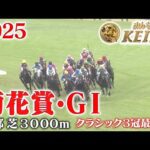 【菊花賞・GⅠ】菊花賞 京都 芝 3000m 2025 レース  【みんなのKEIBA】
