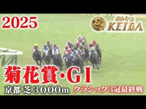 【菊花賞・GⅠ】菊花賞 京都 芝 3000m 2025 レース  【みんなのKEIBA】