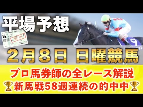 【2月8日日曜競馬予想】想定15番人気129.9倍の超大穴馬を狙い撃つ‼️プロが平場全レース予想を無料公開！【平場予想】