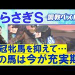 【今週はまさかの結果に…!?】チェルヴィニア、レーベンスティール、シヴァース・・・競馬エイト・高橋賢司トラックマンの調教解説<しらさぎステークス(GⅢ)>