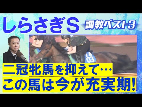 【今週はまさかの結果に…!?】チェルヴィニア、レーベンスティール、シヴァース・・・競馬エイト・高橋賢司トラックマンの調教解説<しらさぎステークス(GⅢ)>
