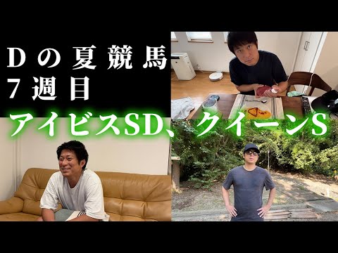 アイビスサマーダッシュ、クイーンステークスまでの1週間!Dの夏競馬7週目。