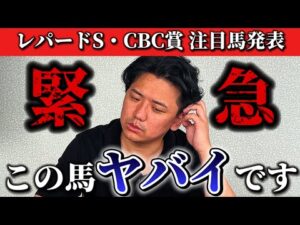 【競馬予想】すごい馬が出てきました。