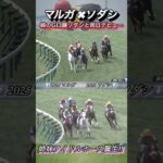 マルガとソダシのデビュー戦が似ていたので比較してみた! #競馬  #マルガ  #ソダシ  #shorts
