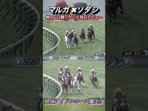 マルガとソダシのデビュー戦が似ていたので比較してみた! #競馬 #マルガ #ソダシ #shorts