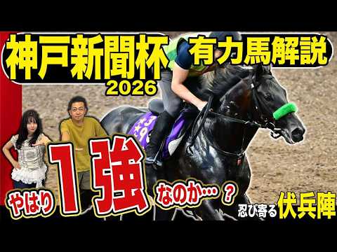 《東スポ競馬ニュース》【神戸新聞杯2026】ロブチェンに不安材料なし？そんな一強ムードのロブチェンに食ってかかるのは一夏超えた伏兵陣たち！！！競馬記者が徹底解説します！