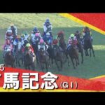 2025年有馬記念(ＧⅠ) 　【カンテレ公式】
