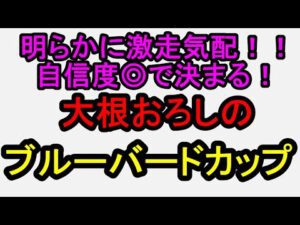 ブルーバードカップ2026！この馬一点でいい”【競馬予想】