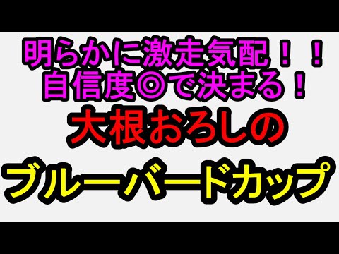 ブルーバードカップ2026!この馬一点でいい”【競馬予想】