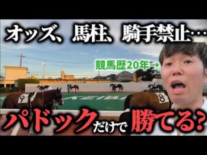 【競馬】競馬歴20年が人生初めてパドックだけで競馬やったら勝つことは出来るのか！？