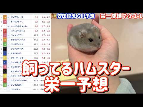 競馬予想【GⅠ安田記念🐎 2026.6.7】10連続馬券内へ!まさかおまえ・・・
