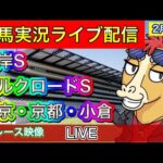 【中央競馬ライブ配信】根岸S シルクロードS 東京 京都 小倉【パイセンの競馬チャンネル】