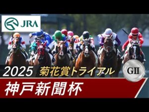 2025年 神戸新聞杯(GⅡ) | 第73回 | JRA公式
