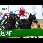 2026年 愛知杯（GⅢ） | アイサンサン | JRA公式