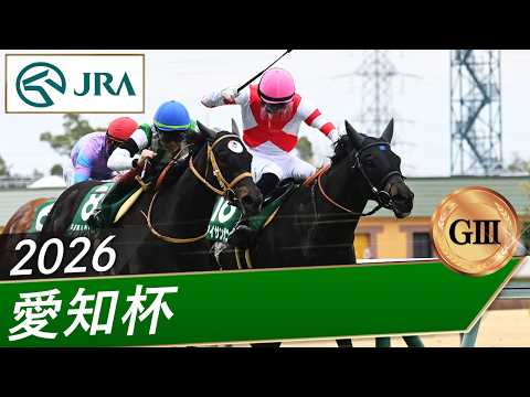 2026年 愛知杯（GⅢ） | アイサンサン | JRA公式