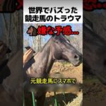競走馬のトラウマ
