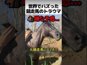 競走馬のトラウマ